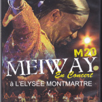 Meiway en concert _0002